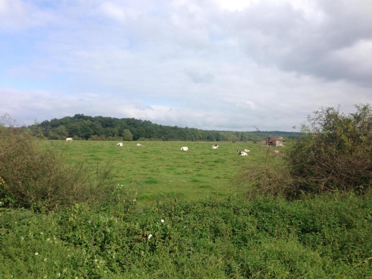 Ferme Houard Bed & Breakfast Bomal Luaran gambar